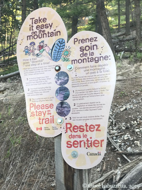 BanffTrailSigns6194