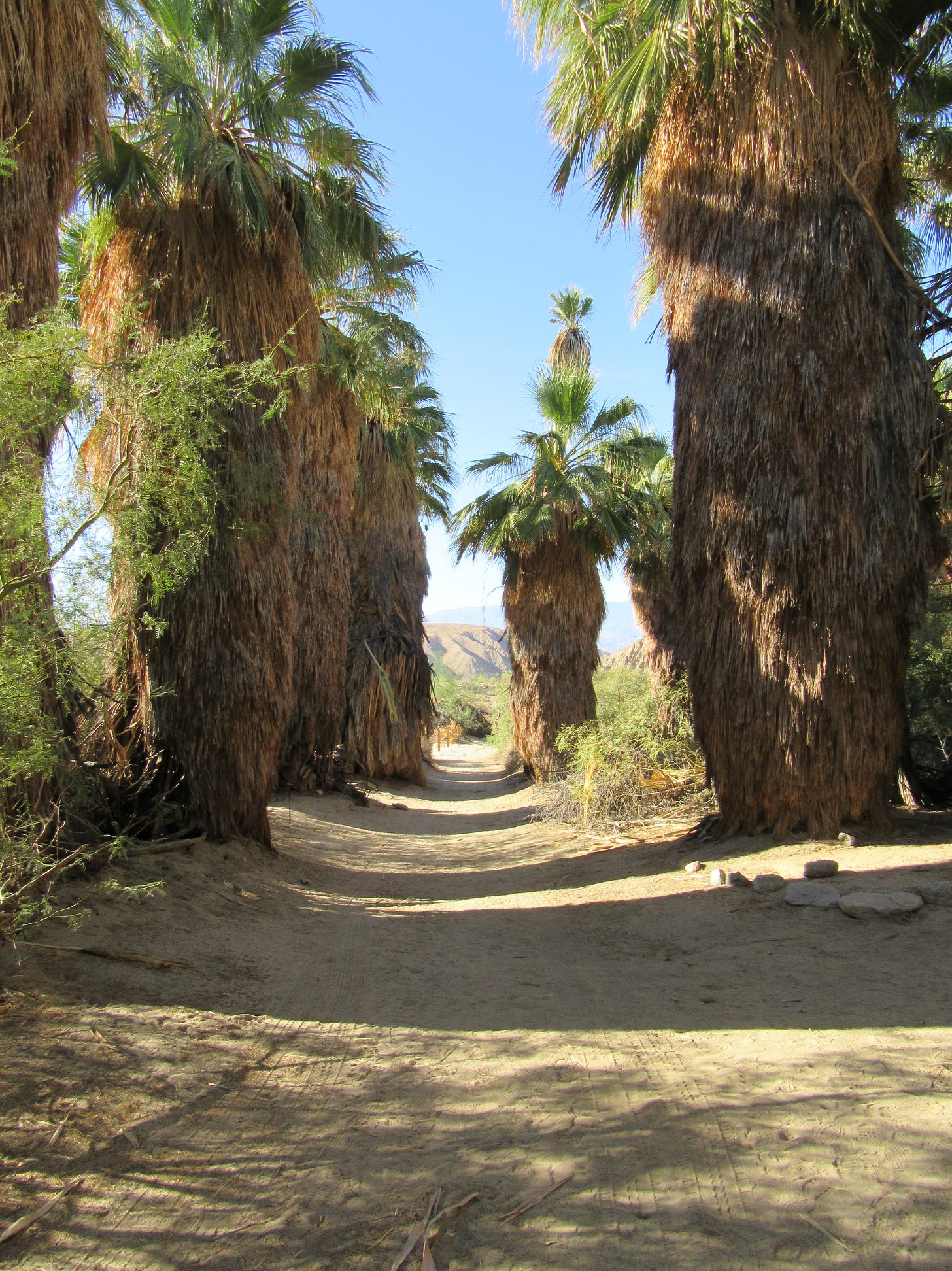 42769070_1855405077830784_3177456448128942080_o