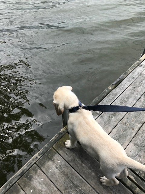 Oh, Golly, Miss&nbsp;Molly!