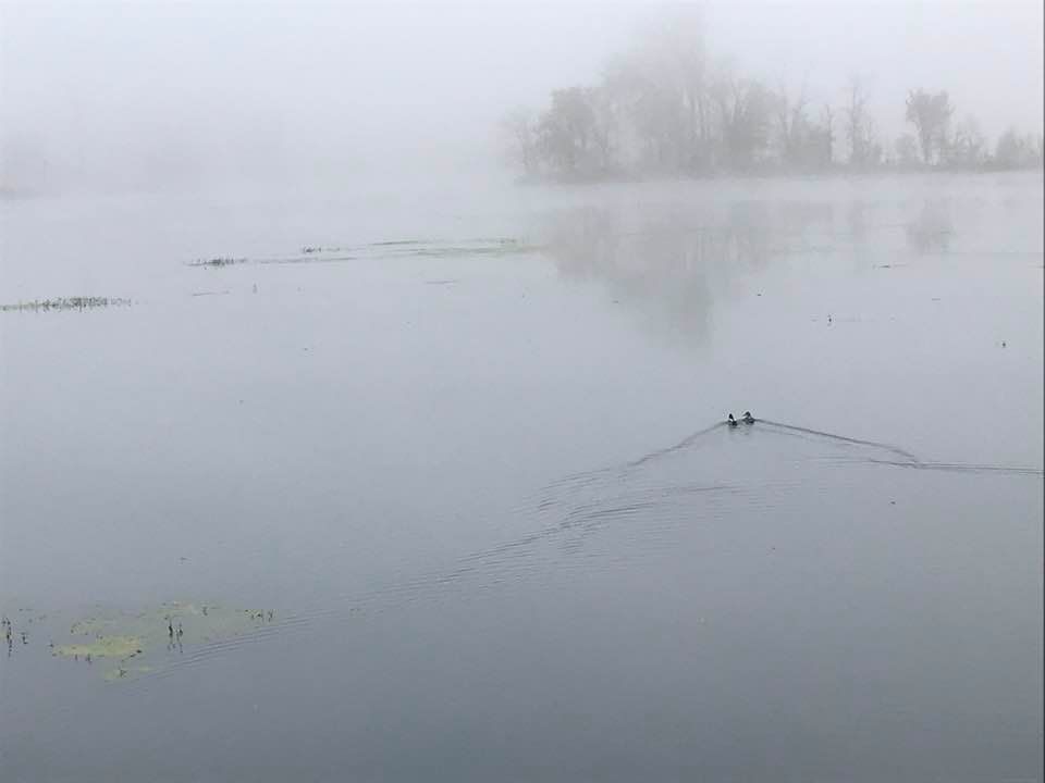 Poetry Friday: Haiku