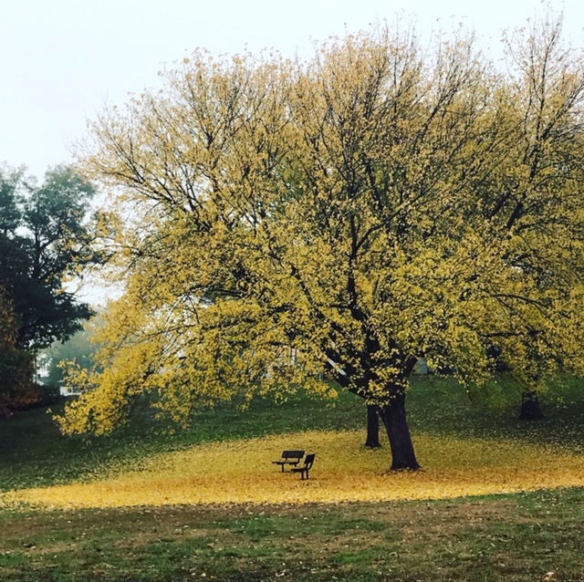 79309E0D-4AD5-4965-B0A1-110D1EC76898