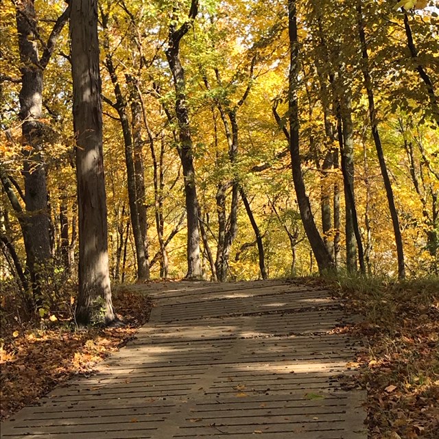 ACC0F1AC-5C70-4914-9B90-24E6BA432316