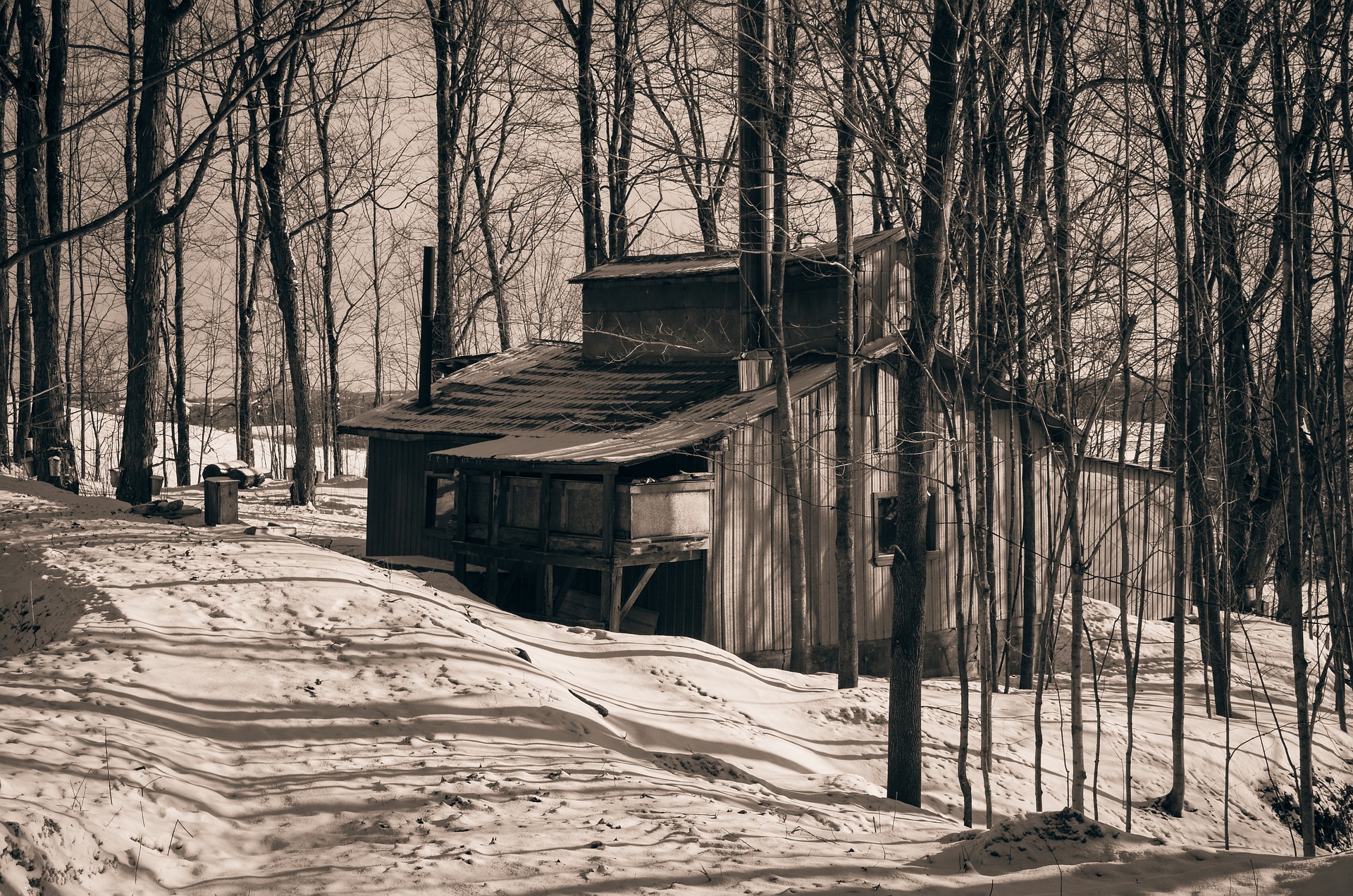cabin-1866818_1920