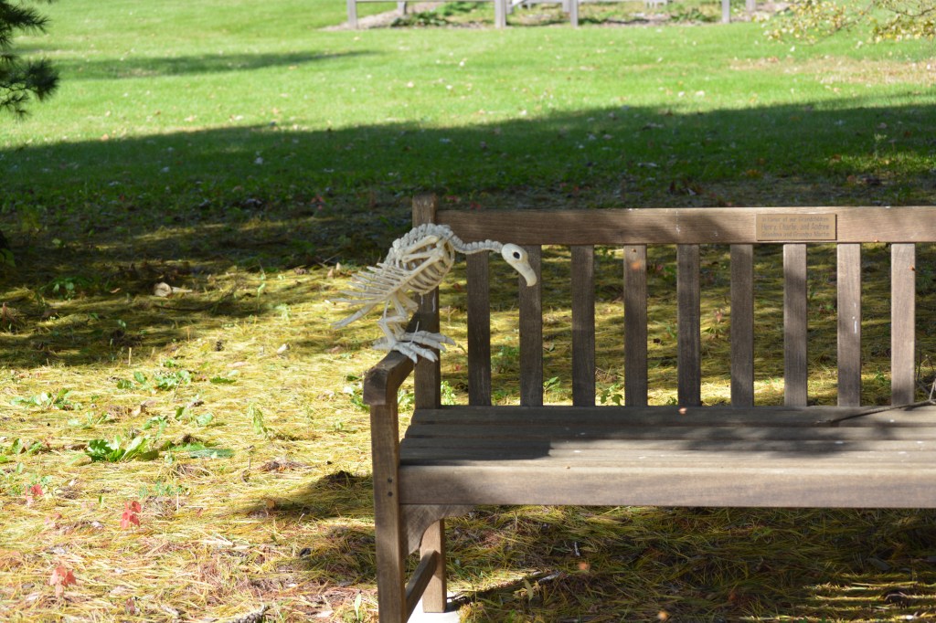 Silent Sunday: Pretty Spooky Iowa&nbsp;Arboretum