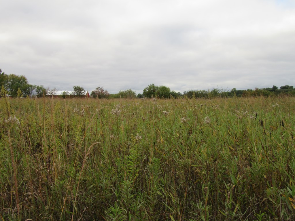 Going Out with&nbsp;Hope