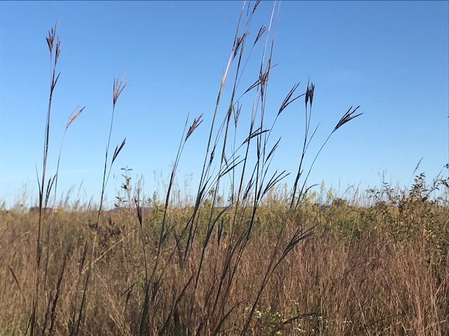 Traits of Writing&nbsp;Poetry