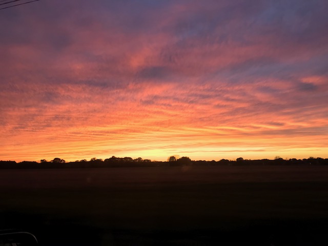 Silent Sunday: A Fall Phenology Lesson In&nbsp;Photos