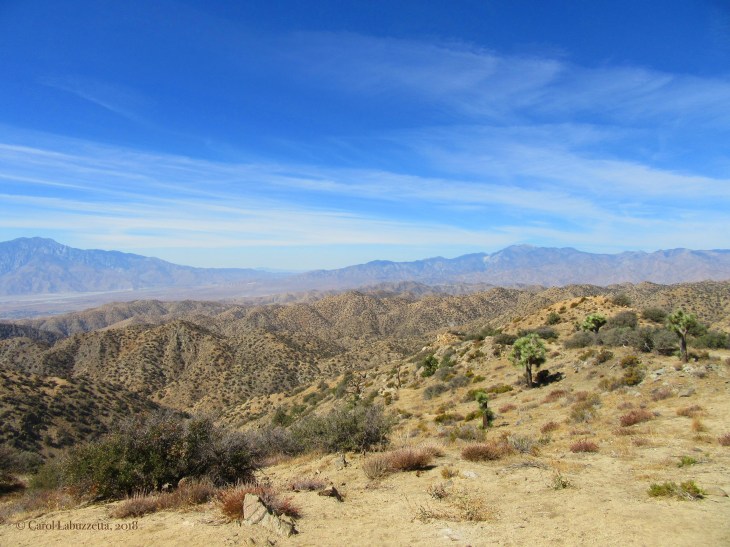 viewofsocalmountainsJTNPwm2215.jpg