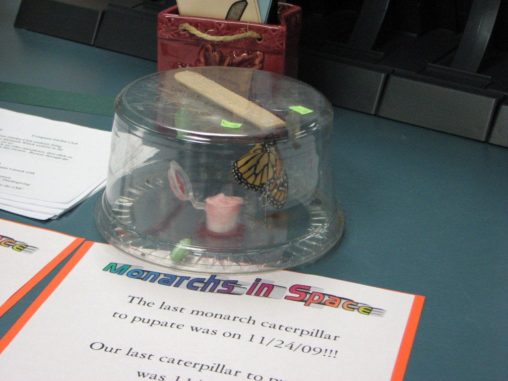 Monarchs in Space?! Ten Years Ago&nbsp;Today!