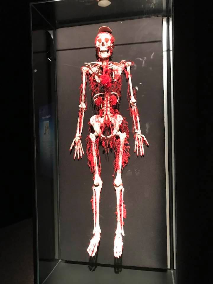 79936771_2585312011506750_2925753282771025920_n