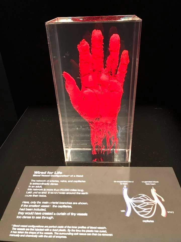 79968914_2585311974840087_2340932492590055424_n