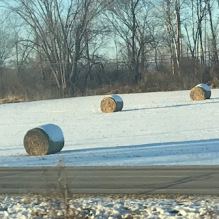 Silent Sunday: Signs of&nbsp;Winter