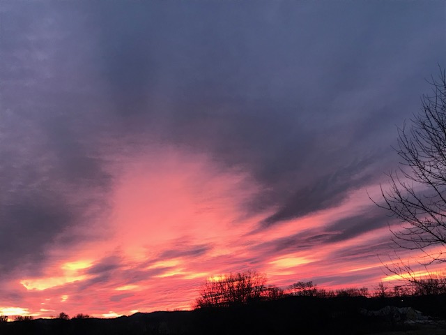 The Science of&nbsp;February