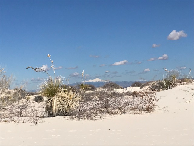 Silent Sunday: White Sands National&nbsp;Park