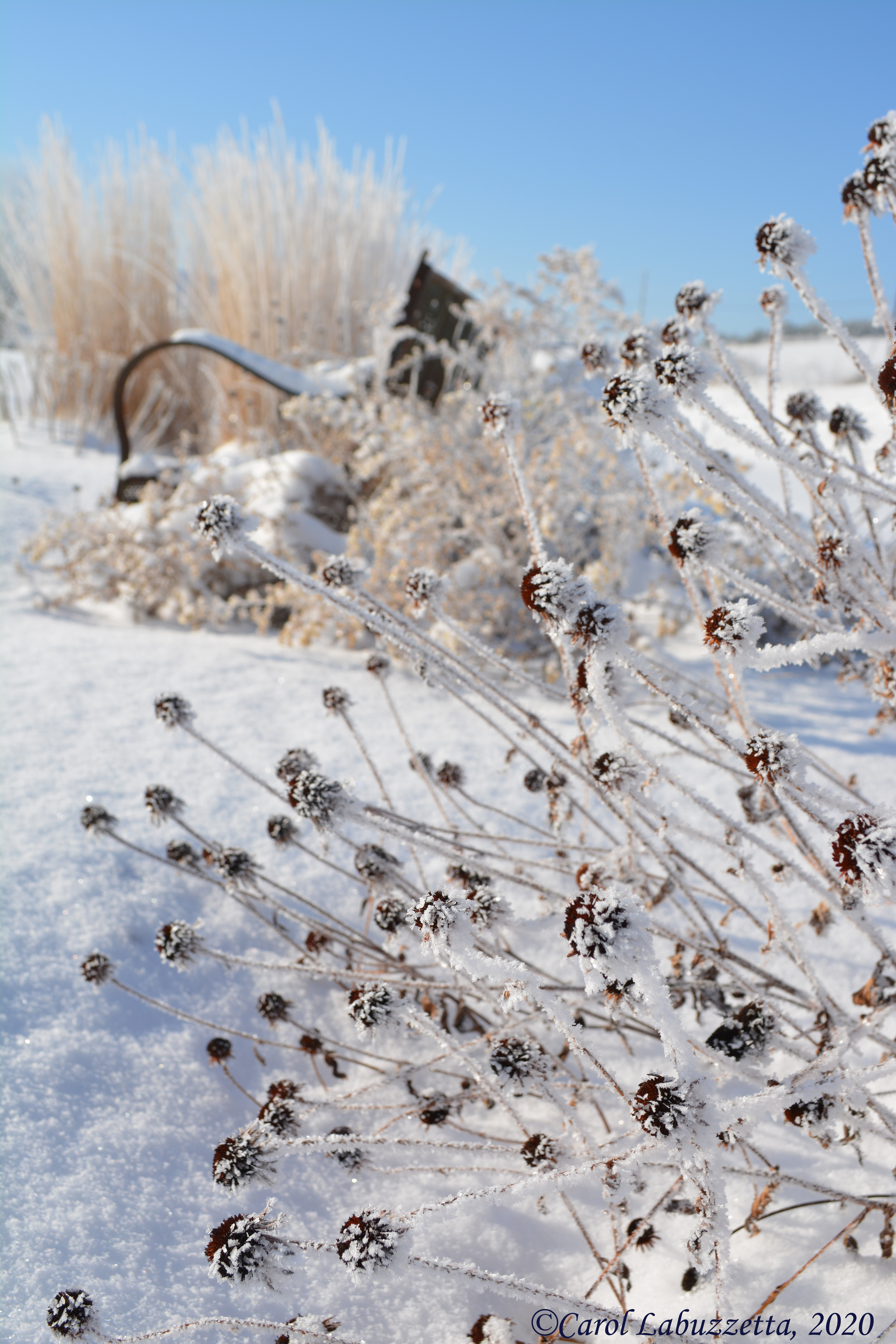 WinterWonderland21020_234