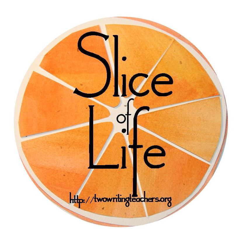 slice-of-life_individual