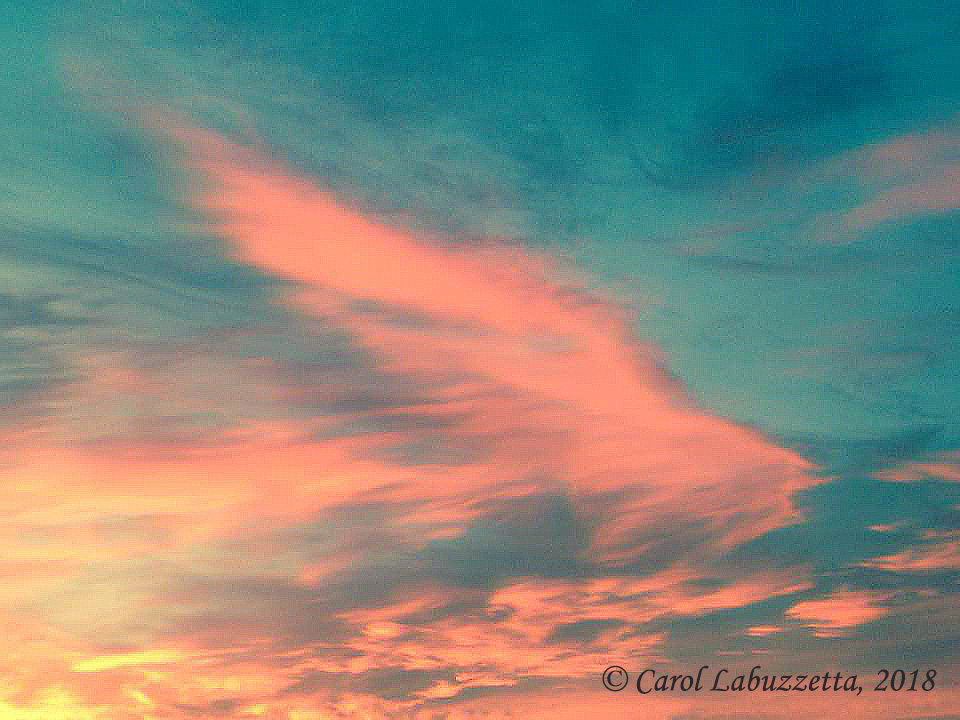 Silent Sunday: The Colors of Lent &&nbsp;Easter