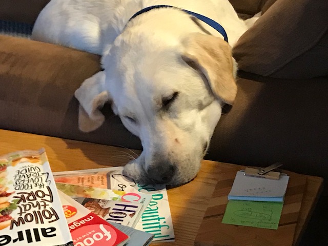 The Need for A&nbsp;Nap!