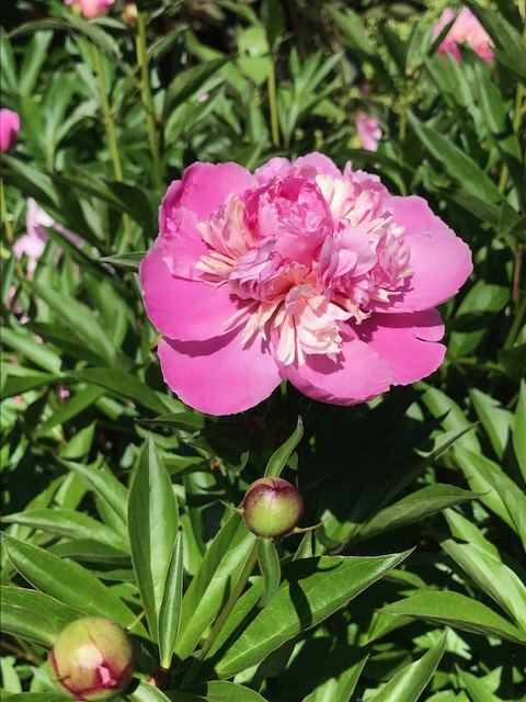 Silent Sunday: Colors to&nbsp;Come!