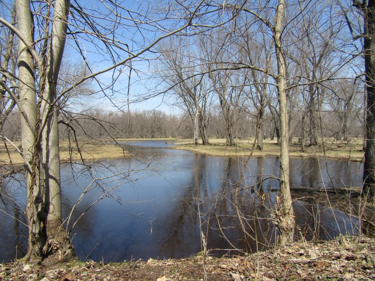 MGRBApril2020wetlands0784