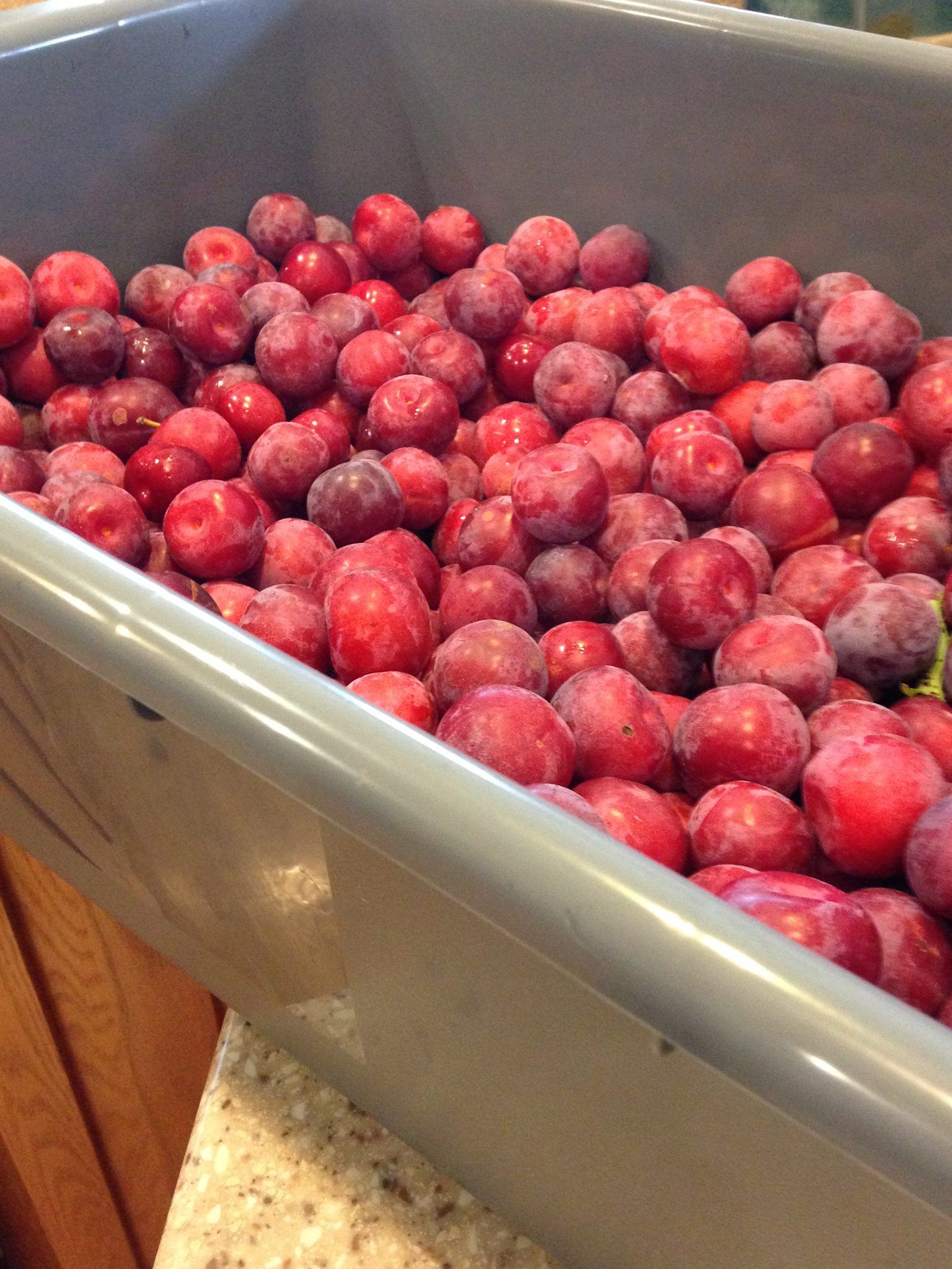 00304493966320151126005308898