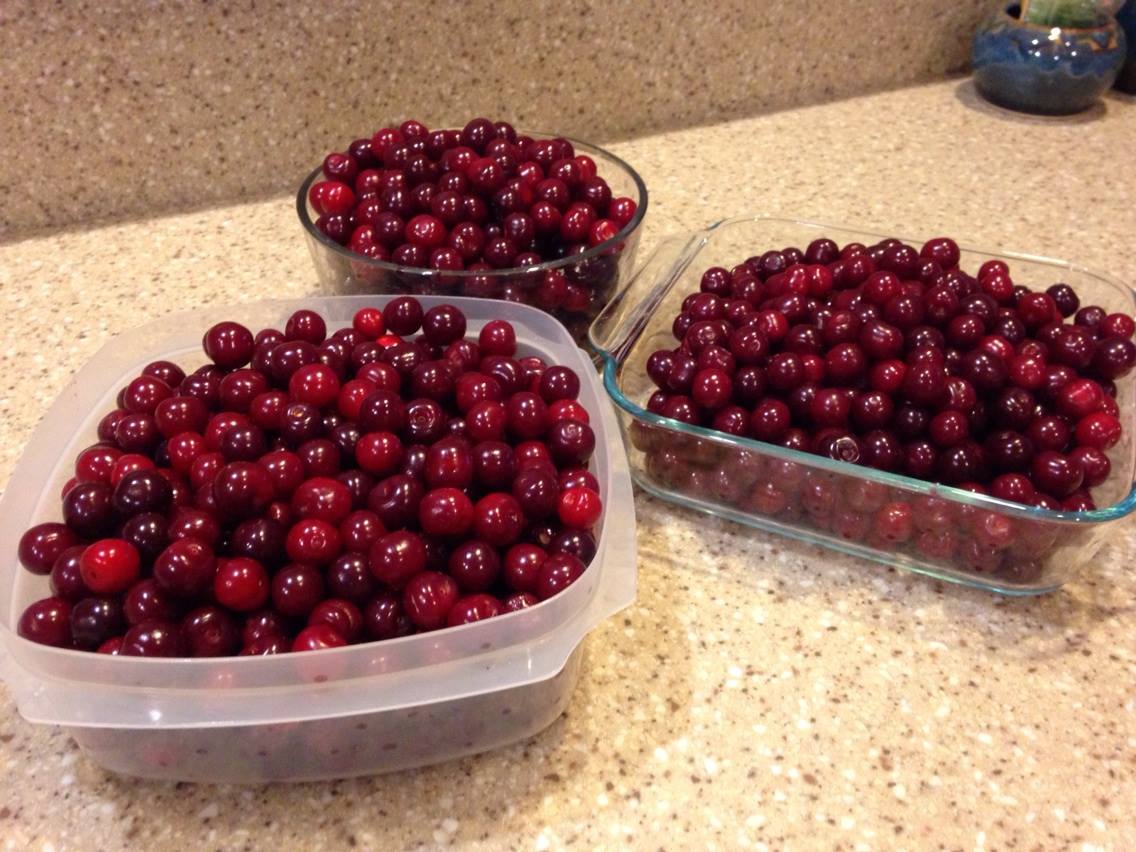 00304493966320151126005315621