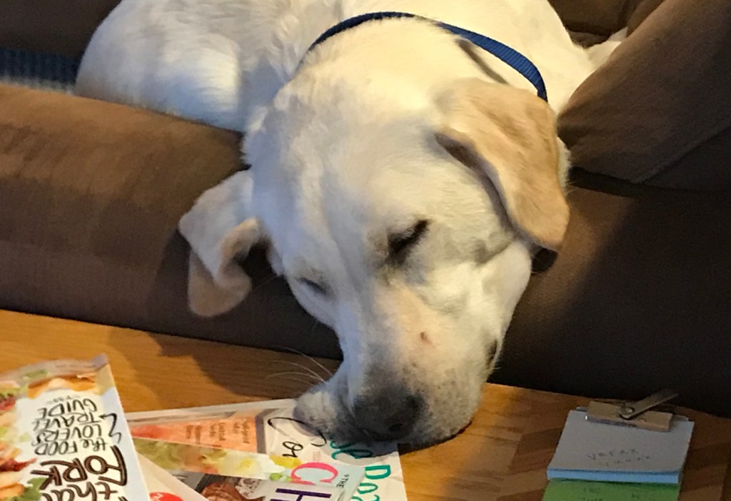 New Poetry: Life is Not Linear &  Content at&nbsp;Home