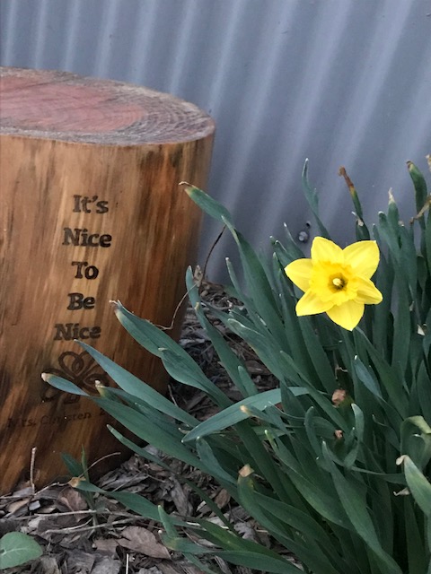 Miscellaneous Ramblings &&nbsp;Updates