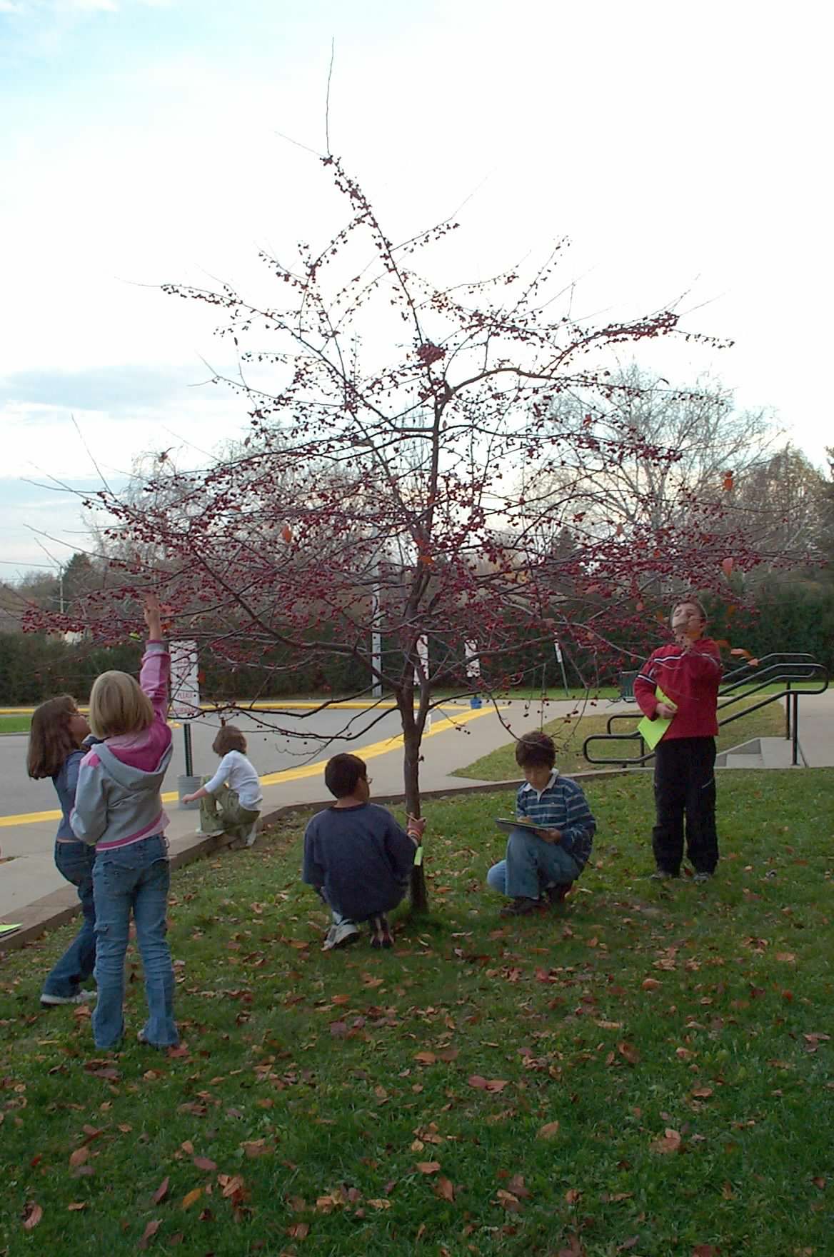 crabtreeobservation1105_hq