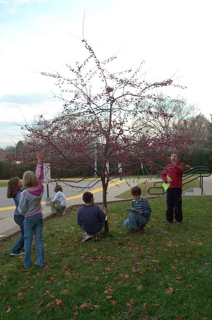 crabtreeobservation1105_hq