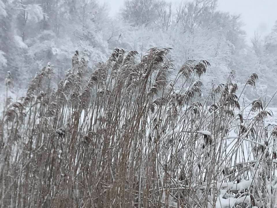 Poetry Friday: Driving in Snow and&nbsp;Wordle