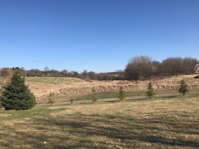 Slice of Life Tuesday: Forgetting What You did not&nbsp;Know