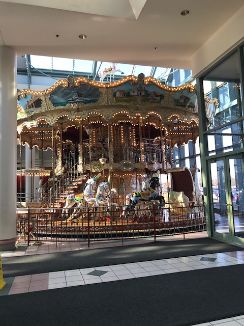 Poetry Friday and RDP: Carousel of&nbsp;Life