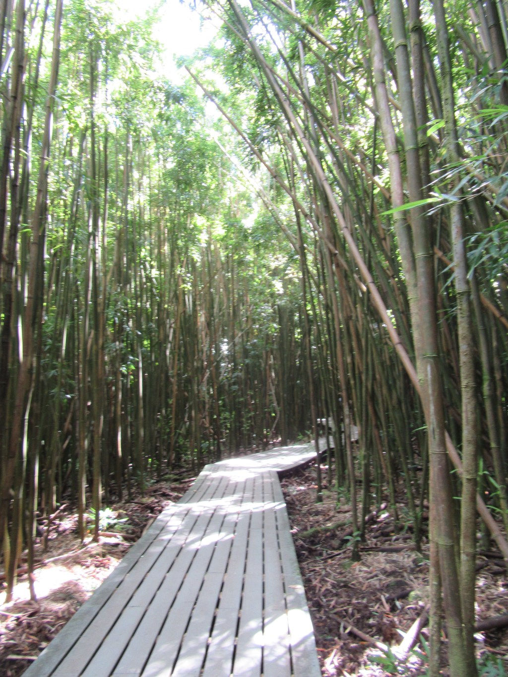 Silent Sunday: Taking a Break from the&nbsp;Fringe