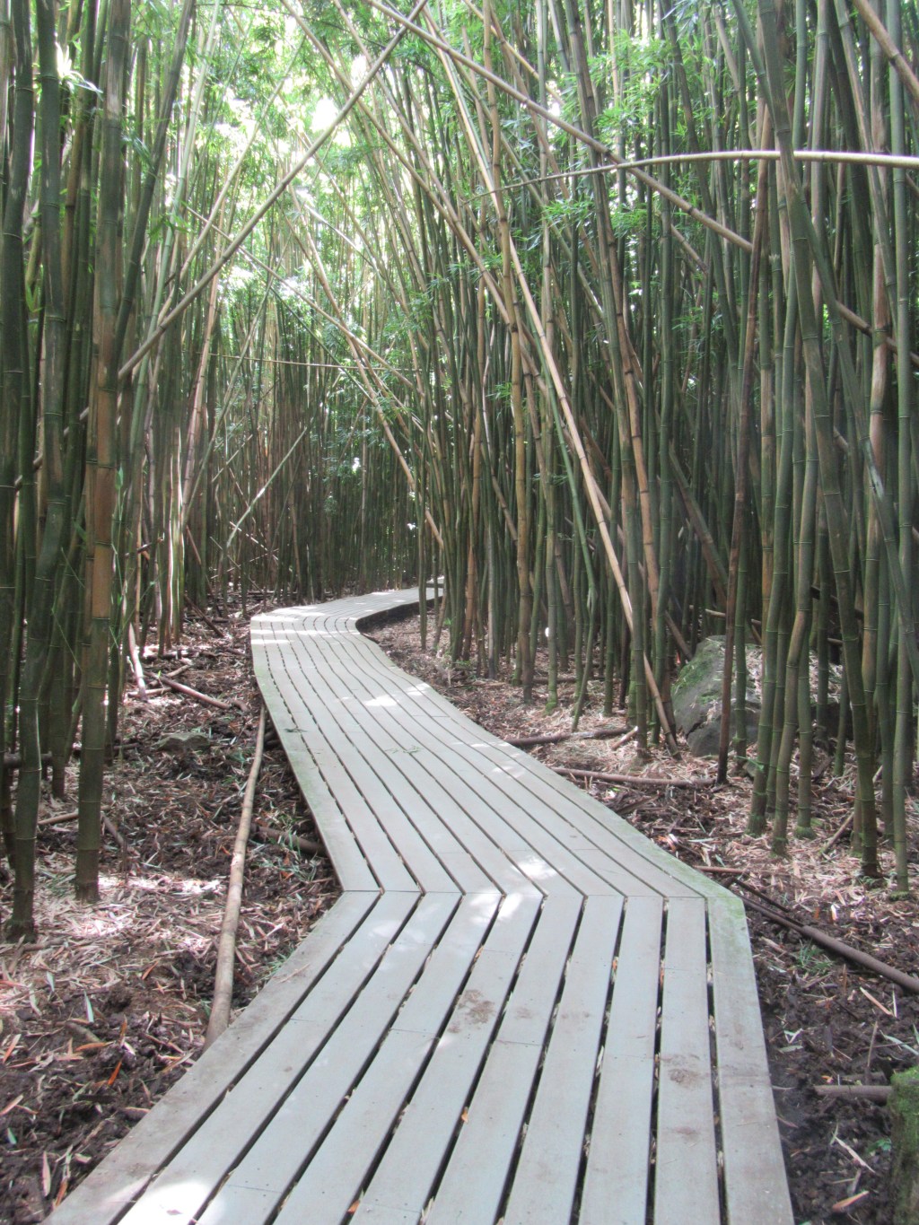 Straying From A Routine. It’s Good For&nbsp;You.