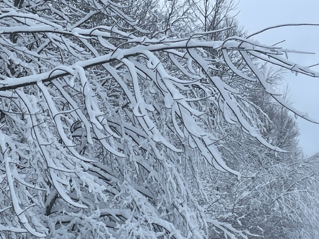 Poetry Friday:  A Beautiful Snow&nbsp;Inspires