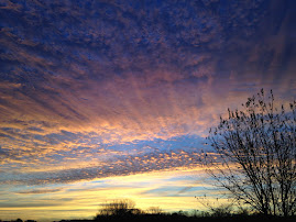 Poetry Friday: Inspired by the Redwood&nbsp;Forests