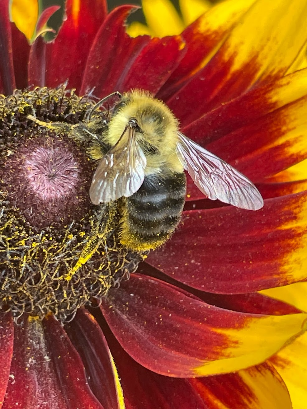 Silent Sunday: Signs of&nbsp;Fall