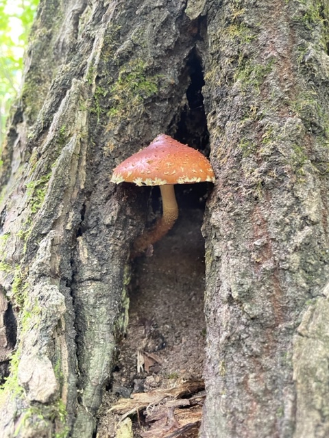 National Poetry Month Day 20: Indie Publishing Tip&nbsp;#12