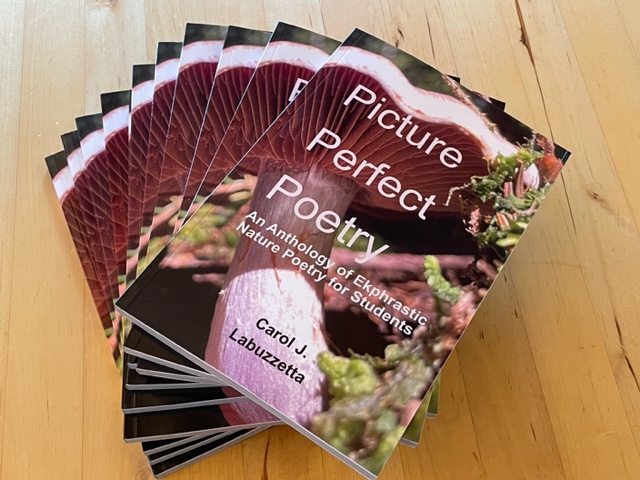 Closing Out April and National Poetry&nbsp;Month