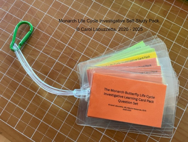 Laminated study cards for monarch butterflies