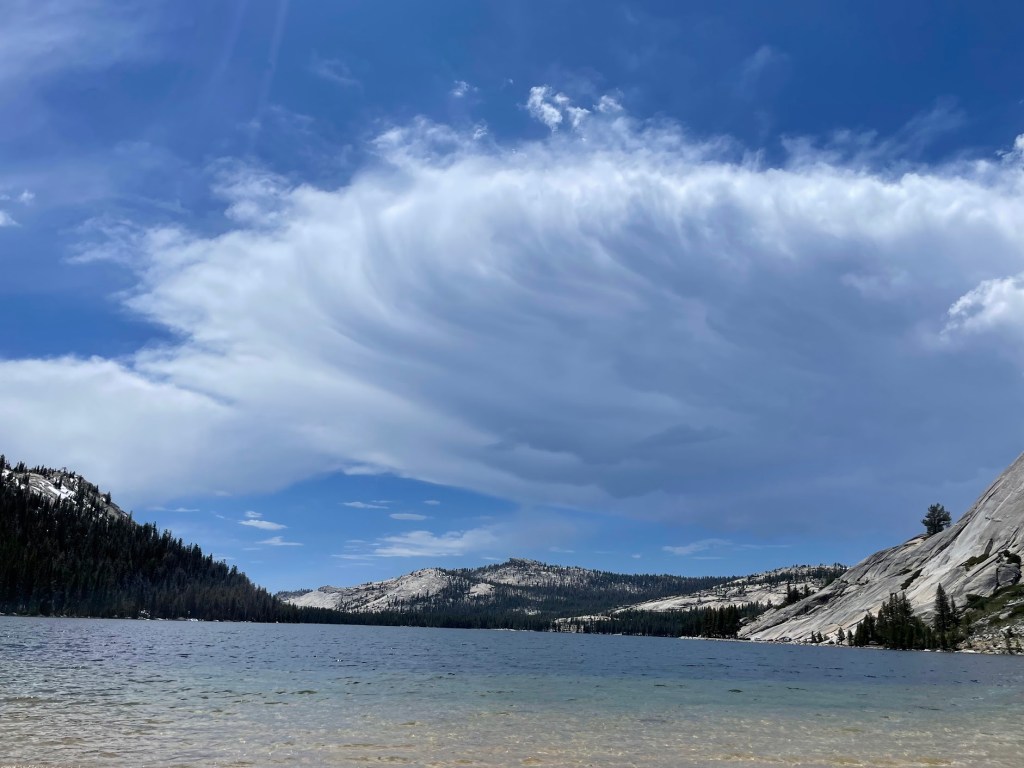 Products for Sale… Poetry Books, Note Cards, Market&nbsp;Bags