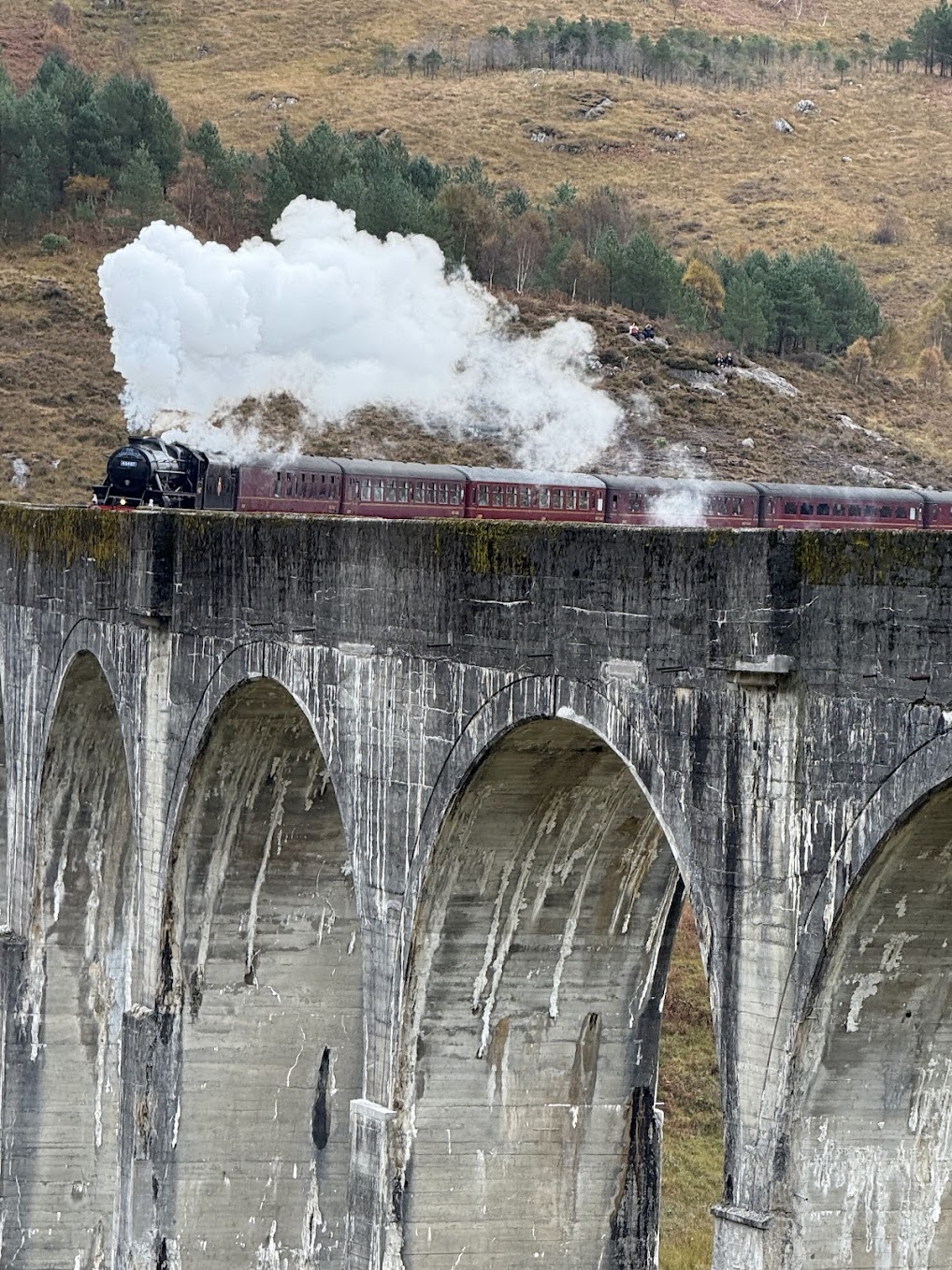 The Poetry Train Has Stopped. I’m Getting Off.