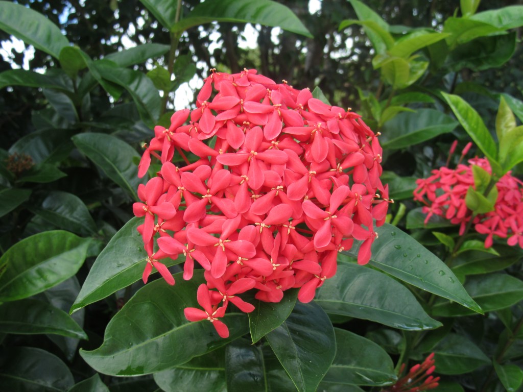 Poetry Old and New: Many Sources of&nbsp;Inspiration