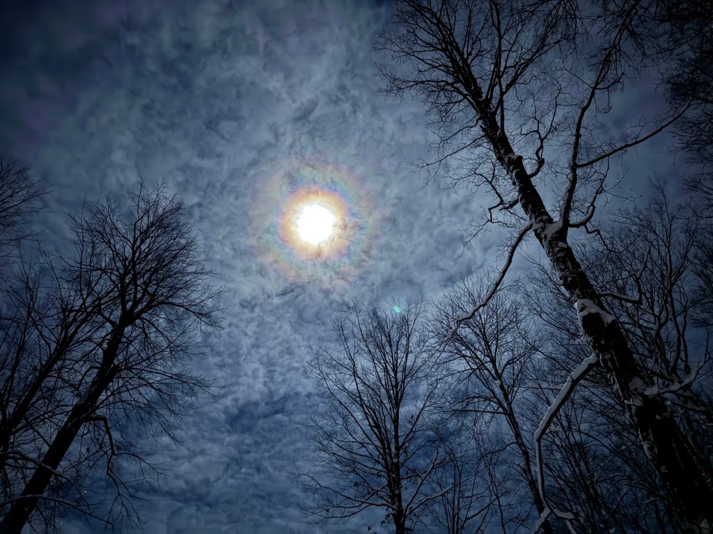 Who Is Your Favorite Poet?